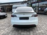 Tesla Model Y Performance Dual AWD - Tesla Model Y: Performance