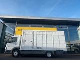 Mercedes-Benz Atego 818 Viehtransporter LKW 7,5t KaBa Aufbau - Bis 7,5t Lkw