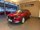 Mazda CX-30 Selection AWD/PANO/LEDER/LHZG/BOSE/DESIGN/ - Mazda Gebrauchtwagen in Augsburg
