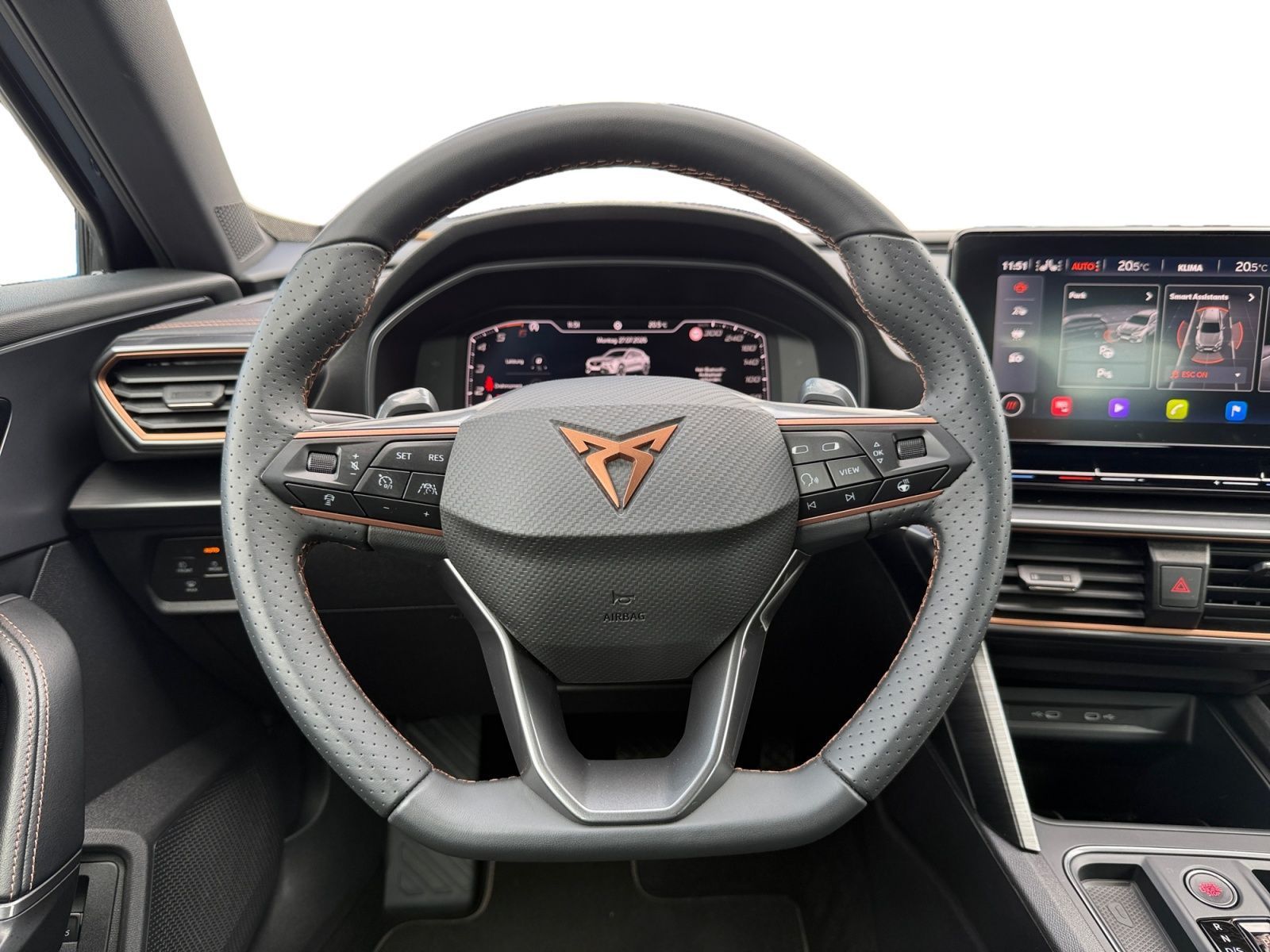 Fahrzeugabbildung CUPRA Formentor 2,0 TDI 4Drive DSG ACC RFK MEMORY