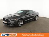 Ford Mustang 2.3 EcoBoost Basis Aut.*NAVI*CAM*SHZ* - Ford Mustang: 2.2