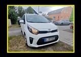 Kia Picanto zum Schnäppchenpreis Günstig! TÜV Klima - : Schnäppchen