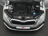 Skoda Octavia - Vorschau Bild 30