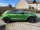 Porsche Macan AWD/BOSE/LED/PANO/SPUR/KAMERA/PDC - Porsche mit Benzin-Antrieb: Grün