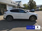 Alfa Romeo Stelvio 2.0 Turbo 16V Veloce Q4 (EURO 6e) - weiße Alfa Romeo Stelvio