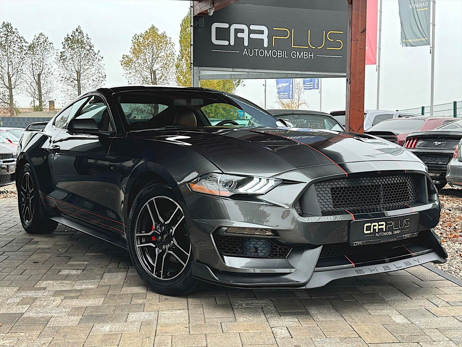 Fahrzeugabbildung Ford Mustang Shelby GT Coupe Autom. Performance LED