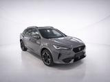 Cupra Formentor 2.0 TDI 4Drive DSG Kamera/ACC/SHZ/Pano - Cupra Gebrauchtwagen in Bonn