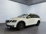 Skoda Octavia Combi Scout 2.0 TDI DSG 4x4 AHK Panorama - Skoda Octavia: Scout Combi