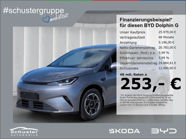 BYD DOLPHIN