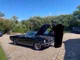 Ford Mustang - aus 1966: Roadster