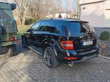 Mercedes-Benz ML 500 4x4-AMG/Offroad Plus Pak./Standhz. - Mercedes-Benz ML 500: Von Privat