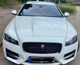 Jaguar XF Sportbrake - Jaguar XF: Jag