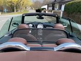 MINI Cooper S Cabrio R 57 Chili Paket; Xenon - weiße MINI Cooper S Cabrio