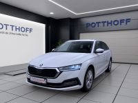 Skoda Octavia - Vorschau Bild 1