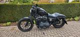 Harley-Davidson SPORTSTER 883 Iron  48 PS A2 - HARLEY-DAVIDSON CHOPPER SPORTSTER 883 IRON
