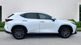 Lexus NX 350h 350h Executive Line - gebrauchte Lexus NX 350h aus dem Jahr 2024