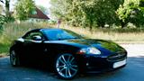 Jaguar XK 4.2L V8 Cabriolet - Nur 65 tkm/TÜV &Serv. neu - Jaguar Gebrauchtwagen von 2006