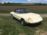 Alfa Romeo Spider 1600 (Oldtimer) - Alfa Romeo: 1600