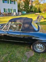 Alfa Romeo Spider - Alfa Romeo aus 1979