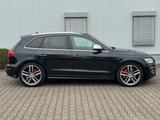 Audi SQ5 3.0 TDI quattro S-Line *XENON*B&O*TÜV NEU* - Audi SQ5 mit Anhängerkupplung