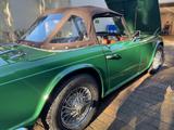 Triumph TR4 super Zustand. Privat  - Triumph TR4 Gebrauchtwagen