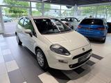 Fiat Punto Lounge - Fiat Punto Gebrauchtwagen in Köln
