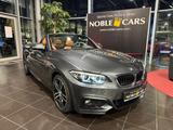 BMW 230 i  Cabrio M Sport H&K LED NAV-PROF AHK 18" - BMW 230: I