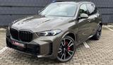 BMW X5 40d M SPORT PRO.LUFTFEDER.PANO.SOFTCL.AHK.22" - BMW X5: Grün