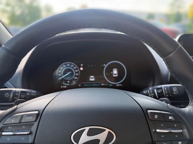 Fahrzeugabbildung Hyundai i30 1.5 T-GDI (140 PS) 48V 7-DCT 2WD Advantage P
