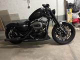 Harley-Davidson Sportster Roadster XL1200CX Custom Matt - HARLEY-DAVIDSON XL 1200 CUSTOM
