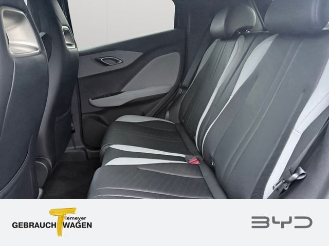 BYD DOLPHIN SURF