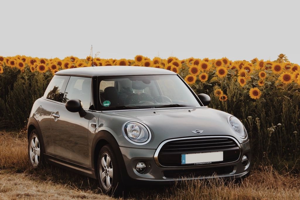 Image of MINI ONE