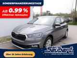 Skoda Fabia Selection 1.0 TSI  *LED*PDC-HI*SMARTLINK*S - Skoda Fabia Gebrauchtwagen