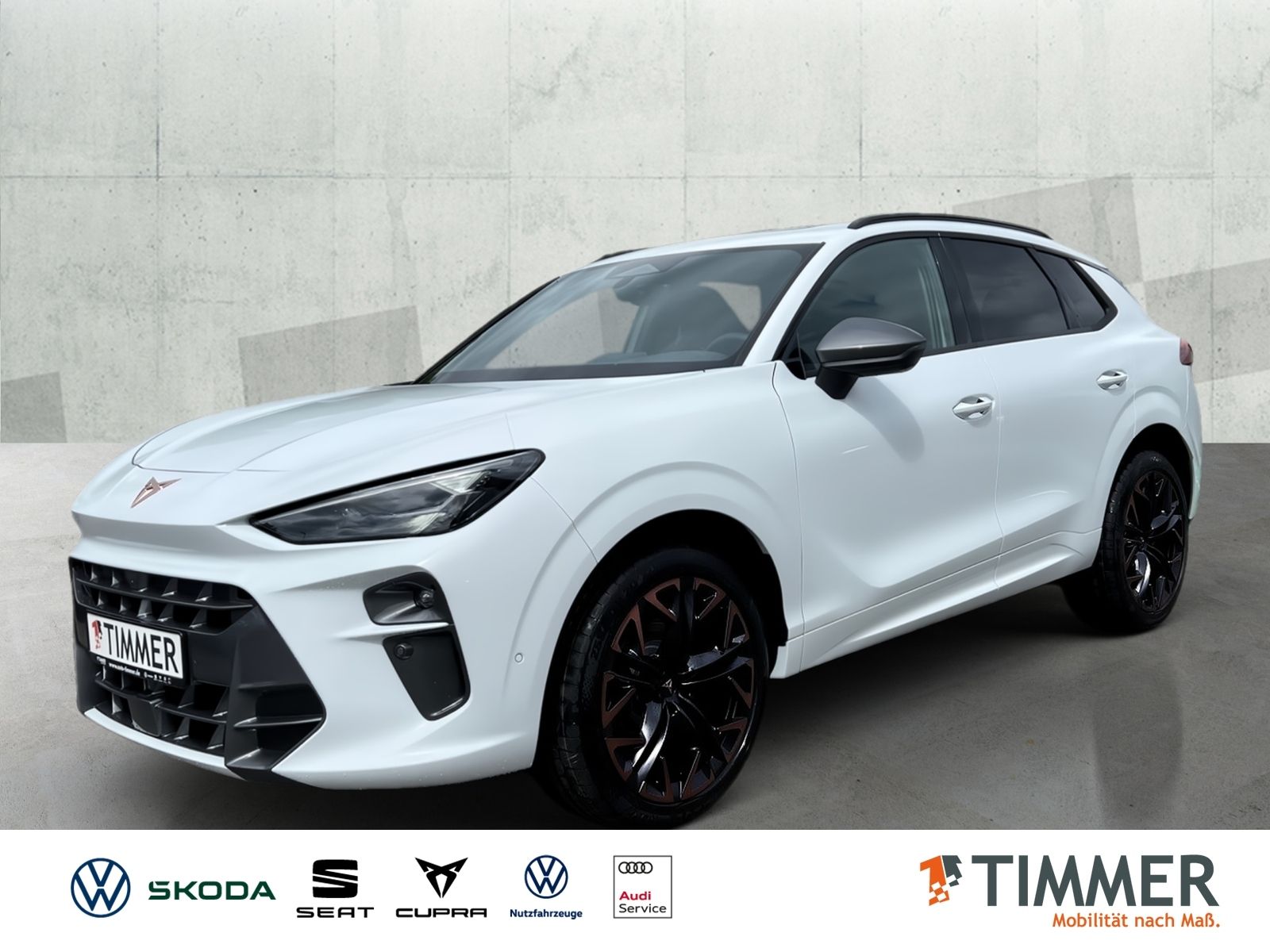 Cupra Terramar - Bild 1