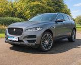 Jaguar F-Pace F-PACE Pure Leder Pano SHZ - Jaguar F-Pace: Pure