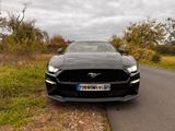 Ford Mustang 5.0 V8 GT  / 1.Hand / Deutsches Model - Ford Mustang Gebrauchtwagen in Frankfurt