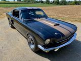 Ford Mustang GT350 Shelby Clone  - inkl. TÜV & H - Ford Mustang: Gt350