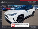 Toyota RAV 4 RAV4 Hybrid 4x2 Style Selection - Toyota RAV 4 mit Hybrid-Antrieb: Teilleder