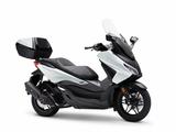Honda NSS Forza 125 Weiß #2026 - Sofort verfügbar - - HONDA FORZA 125