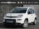 Fiat Panda Pandina Pop Mild Hybrid 1.0 GSE 51kw (70PS - Fiat Panda Neuwagen mit Benzin-Antrieb