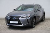 Lexus UX 250h Launch Edition - Lexus UX Gebrauchtwagen