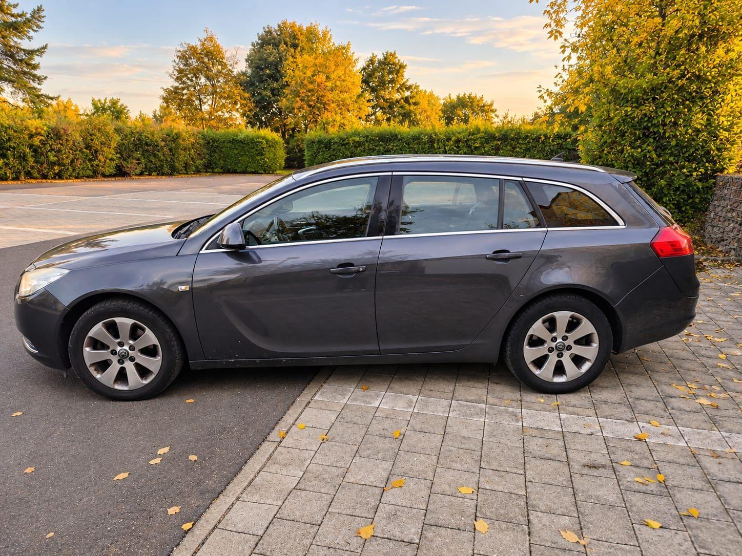 Opel Insignia 2009 — rear view
