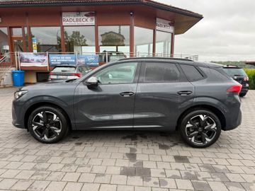 Cupra Terramar - 6