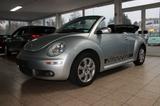 Volkswagen New Beetle Cabriolet 1.6 United - VW New Beetle Gebrauchtwagen