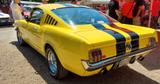 Ford Mustang Fastback K-Code  - Ford Mustang aus 1965: Fastback