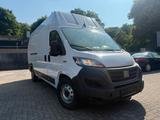 Fiat Ducato Maxi Grossr.-Kasten 35 160 L5H3 RS: 4035 - Fiat Ducato in Hamm