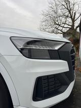 Audi Q8 50 TDI quattro tiptronic - - Audi Q8 in Köln