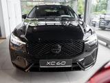Volvo XC60 T8 Plus Black Edition H/K FACELIFT 360° - Volvo Gebrauchtwagen