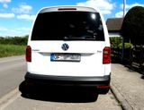 Volkswagen Caddy Maxi Kasten DSG - Volkswagen Caddy Maxi: Kasten