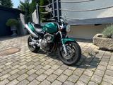 Honda Hornet CB600F PC36  "The Green Hornet" - HONDA 2005 HORNET 600